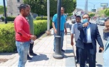 هنجملها.. زراعة 100 شجرة زيتون بحدائق كفر الشيخ