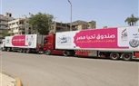 محافظ الجيزة: أستلام 12 ألف كرتونة مواد غذائية و15 طن دجاج من صندوق تحيا مصر