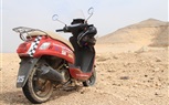 عودة رالى 