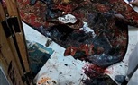 أمن كفر الشيخ يضبط المتهم بإلقاء ماء نار علي زوجته وشقيقتها ووالديها.. صور