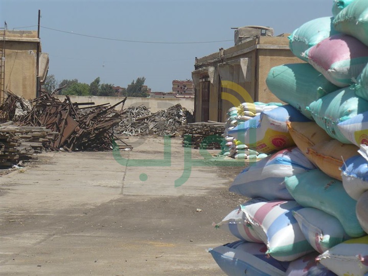 بالصور.. ارتفاع معدل توريد القمح لـ121 ألفًا و171 طن بكفر الشيخ