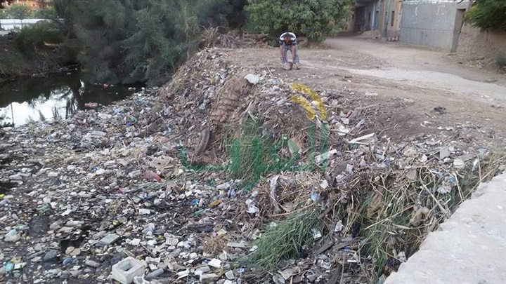 بالصور.. القمامة والحيوانات النافقة تغطي مياه الترع والمصارف في قنا