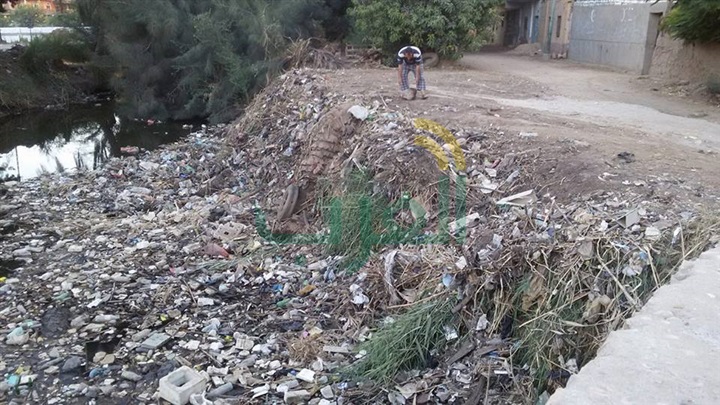 بالصور.. القمامة والحيوانات النافقة تغطي مياه الترع والمصارف في قنا بالصور.. القمامة والحيوانات النافقة تغطي مياه الترع والمصارف في قنا