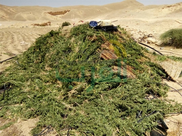 قوات إنفاذ القانون بالجيش الثالث الميدانى تواصل ملاحقة العناصر التكفيرية والإجرامية بوسط سيناء 