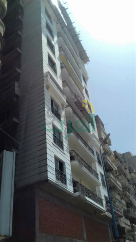 بالصور.. تنفيذ 11 قرار إزالة لعقارات مخالفة بالأسكندرية