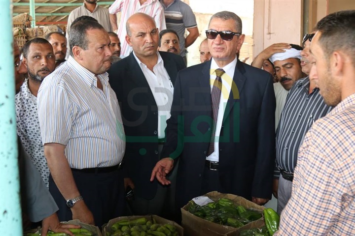 بالصور.. محافظ كفر الشيخ: إقامة منافذ جديدة لبيع الخضراوات بأسعار مخفضة 