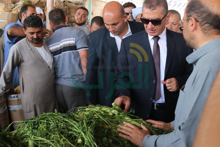 بالصور.. محافظ كفر الشيخ: إقامة منافذ جديدة لبيع الخضراوات بأسعار مخفضة 