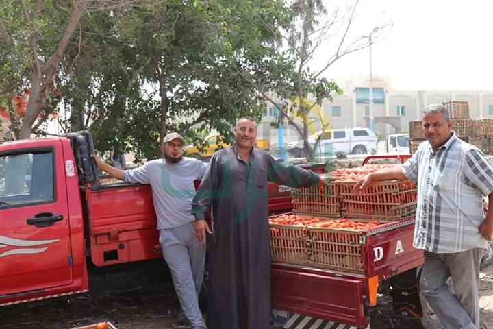 بالصور.. محافظ كفر الشيخ: إقامة منافذ جديدة لبيع الخضراوات بأسعار مخفضة 
