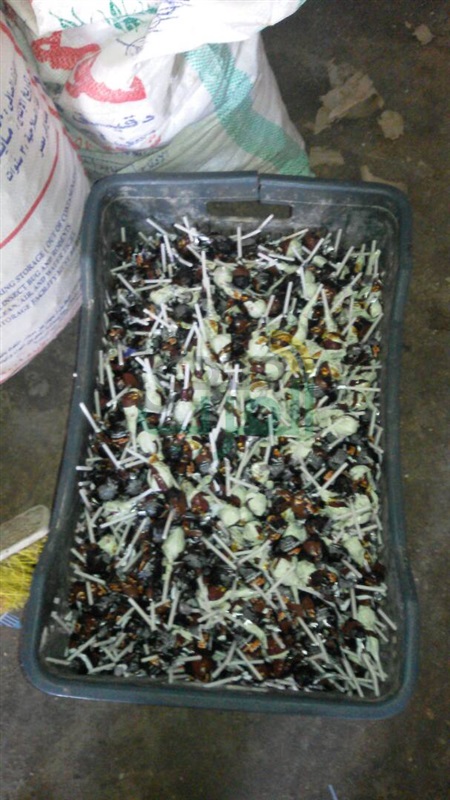 بالصور.. ضبط 6 أطنان "مصاصة" و"بسكويت" فاسدة بأبو النمرس