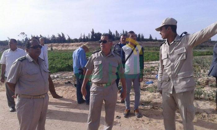 إسترداد 38 فدان و 16 قيراط و 12 سهم من أراضي أملاك الدولة المعتدى عليها بالشرقية