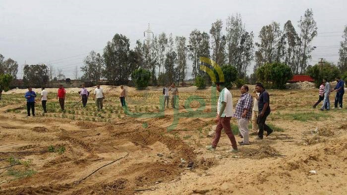 إسترداد 38 فدان و 16 قيراط و 12 سهم من أراضي أملاك الدولة المعتدى عليها بالشرقية