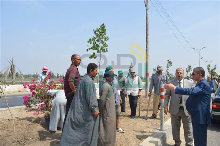 بالصور.. محافظ كفرالشيخ يوجه بزيادة المسطحات الخضراء  علي "رافد" الدولى