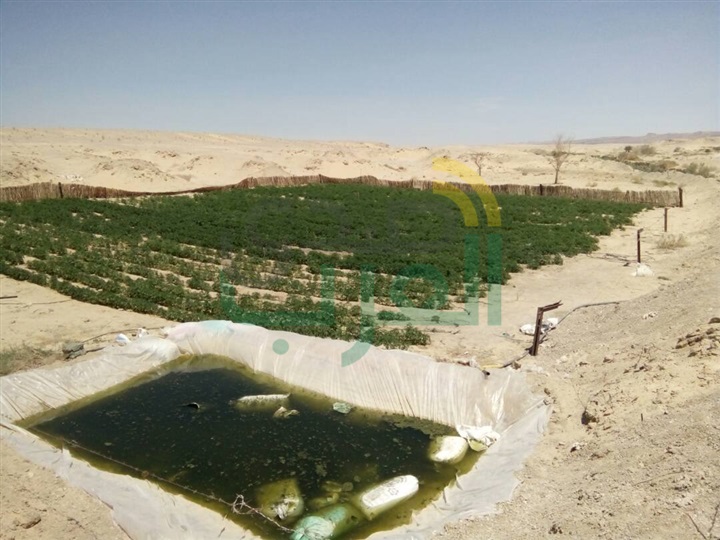  قوات إنفاذ القانون بالجيش الثالث الميدانى تواصل جهودها فى ملاحقة العناصر التكفيرية  