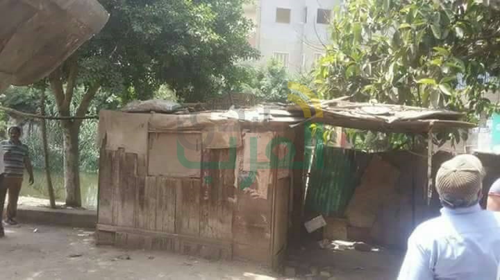 بالصور.. إزالة 20 حالة تعد على أملاك الدولة بقليوب 