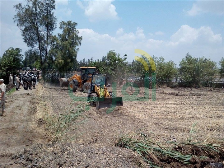 إزالة 449 حالة تعدى على مساحة 5103 فدان أملاك دولة بالشرقية خلال 6 أيام