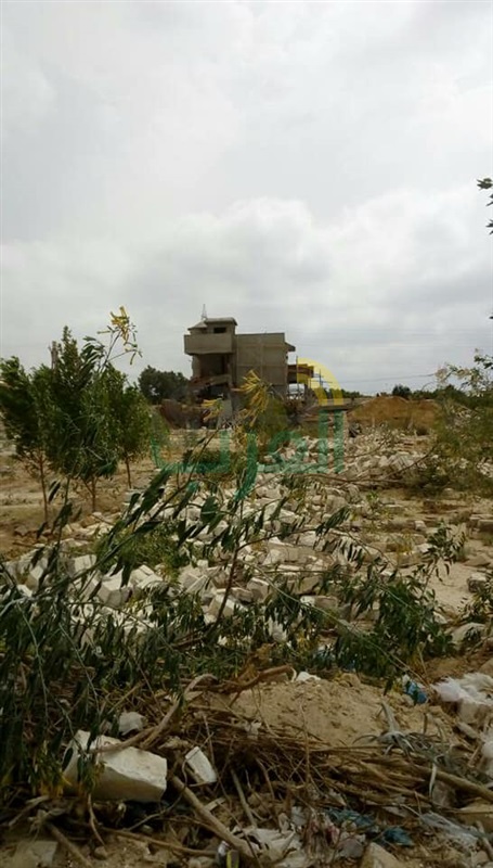  تنفيذ ١٠٣ قرار إزالة واسترداد مساحة ٢٢٩٦٣١٩ م٢ بالإسكندرية