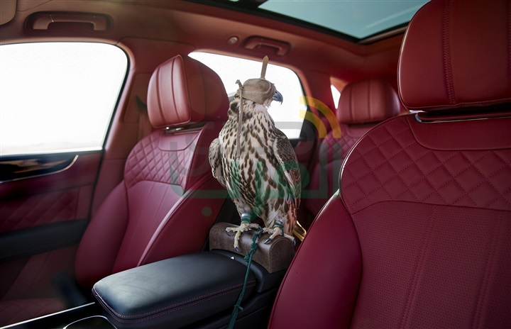 "Bentley Bentayga Falconry" من "Mulliner" تجهيزات وإكسسوارات مميّزة لرياضة تاريخية عريقة "Bentley Bentayga Falconry" من "Mulliner" تجهيزات وإكسسوارات مميّزة لرياضة تاريخية عريقة