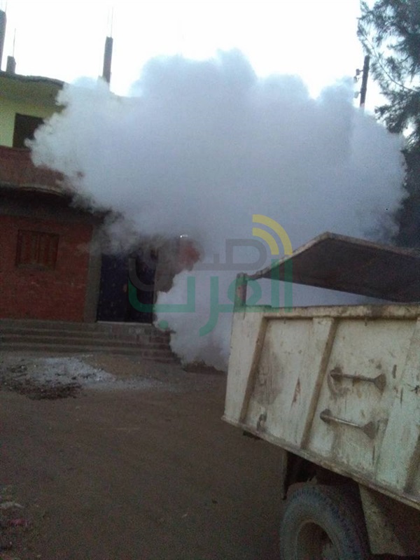 بالصور.. حملات وقائية لمكافحة حشرات الصيف ببنها