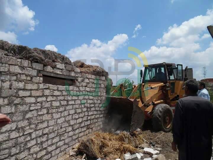 بالصور.. إزالة تعديات على 17 فدانًا من أراضي الدولة بكفر الشيخ