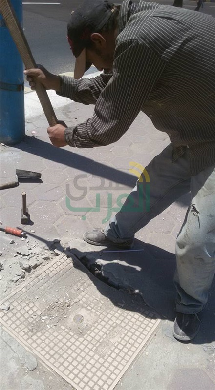 بالصور.. عمليات إحلال وتجديد بنطاق حي ثان المنتزه