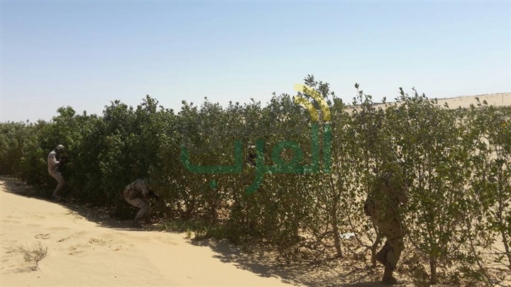 قوات إنفاذ القانون بالجيش الثانى تواصل جهودها فى ملاحقة وإستهداف العناصر والبؤر الإرهابية بشمال سيناء