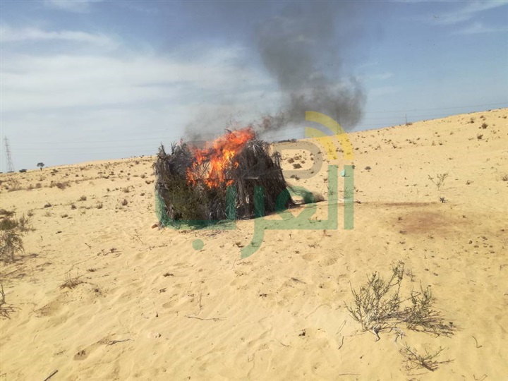 قوات إنفاذ القانون بالجيش الثانى تواصل جهودها فى ملاحقة وإستهداف العناصر والبؤر الإرهابية بشمال سيناء