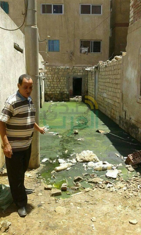 بالصور.. غرق 300 منزل بـ " عرب الصوالحة " بشبين القناطر 
