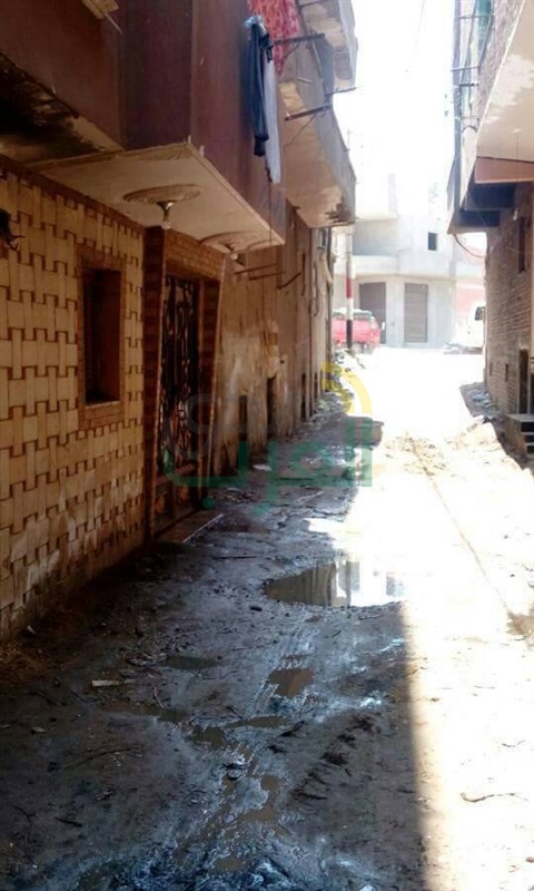 بالصور.. غرق 300 منزل بـ " عرب الصوالحة " بشبين القناطر 