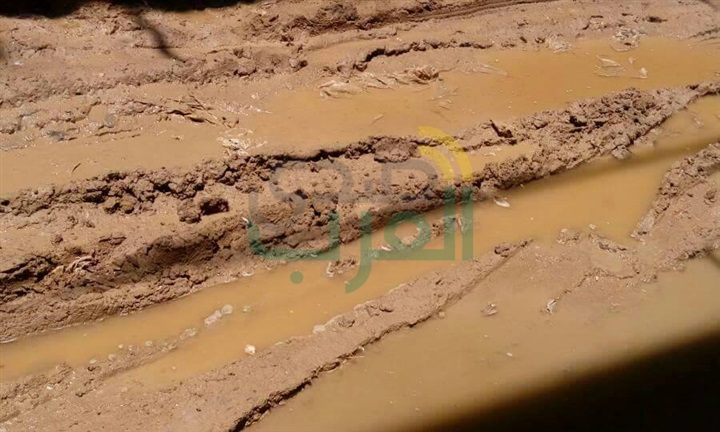 بالصور.. غرق 300 منزل بـ " عرب الصوالحة " بشبين القناطر 