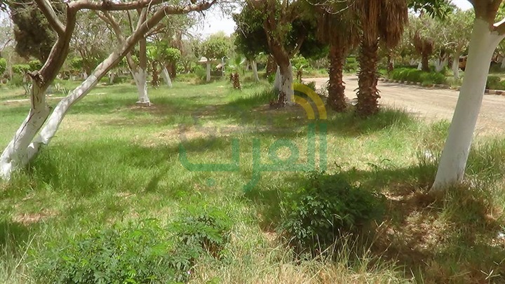 تطوير الحديقة الدولية بأسيوط لاستقبال المواطنين خلال العيد