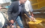 لتحويلها لقرى منتجة.. توزيع 45 ألف و160 طائر بمشروع تربية البط بالبحيرة 