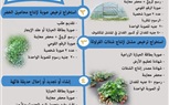 العدد الثاني من دليل خدمات وزارة الزراعة.. الخدمات التي تقدمها إدارة البساتين