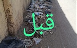 «مستقبل وطن» يتابع أعمال تجميل مدخل قرية طناش بالوراق 
