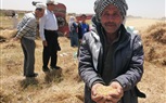 صدي العرب يتابع موسم حصاد وتوريد الأقماح المحلية بالإسكندرية