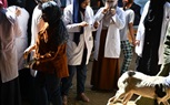 قافلة جامعة سوهاج البيطرية المجانية تتوجه لقرية عنيبس بمركز جهينه وتعالج ٤٠٥ حالة