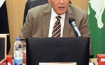 محافظ الشرقية يأمر بسرعه إصلاح أعمدة الإنارة بالطريق العام منيا القمح 