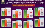 طفرة في الرعاية الطبية والخدمات العلاجية لتوفير حياة صحية آمنة وكريمة للمواطن المصري..بالإنفوجراف