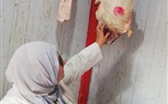 بيطري الشرقية يضبط ما يقارب من 2 طن و210 كجم لحوم و دواجن مخالفة 