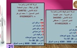 وزارة العمل تتلقى  طلبات من  35  شركة خاصة  تُوفر 4352  فرصة عمل في  10 محافظات 