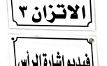 رئيس الاتحاد العربي للتعليم والبحث العلمي من معهد السمع والكلام: شكراً للرئيس السيسي