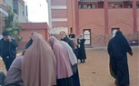 حشود من الناخبين أمام اللجان الانتخابية في أبوحماد بالشرقية