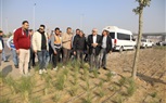 محافظ الجيزة يتابع أعمال التطوير الجارية بمحيط المنطقة الأثرية والمتحف المصرى الكبير