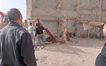 محافظ الجيزة: رفع الأخشاب المتواجدة فى داخل الجراجات بجانبى الطريق الدائرى السطحى