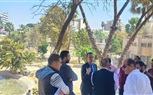 الإسكان: جار التجهيز للافتتاح التجريبي لمشروع إعادة إحياء حديقة الأزبكية بالقاهرة