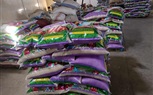 مبادرة شبابية بإحدى قري كفر الشيخ تجمع 66 طن مواد غذائية لـ 