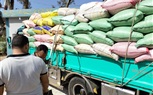 البنك الزراعي المصري يبدأ استلام محصول القمح من المزارعين والموردين في 190 موقع على مستوى الجمهورية