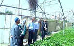 رئيس البحوث الزراعية يتابع رفع كفاءة الأصول في موقع الصوب الزراعية بمحطة بحوث بهتيم في محافظة القليوبية