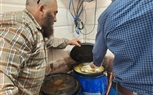 استمرار الحملات المكثفة علي محال الأسماك المملحة بكفر الشيخ