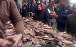 تجار بورسعيد يخفضون أسعار الأسماك 50% وسعده يشكر شعبة الأسماك 