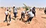 القوات المسلحة تنظم زيارة إلى مشروع إستصلاح وزراعة الأراضى الصحراوية بتوشكى